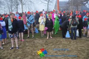 viphouten-nl-203