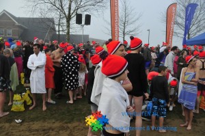 viphouten-nl-247