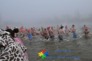 viphouten-nl-371