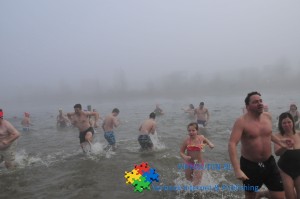 viphouten-nl-378