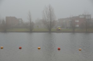 DSC 0017
