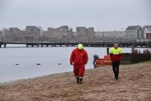 Nieuwjaarsduik (1)