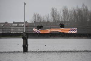 Nieuwjaarsduik (2)