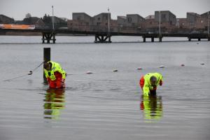 Nieuwjaarsduik (2)