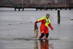 Nieuwjaarsduik (2)