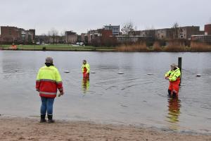 Nieuwjaarsduik (2)