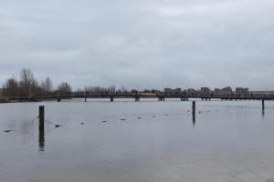 Nieuwjaarsduik (4) - 26