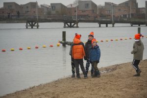 Bibliotheek-133-van-211