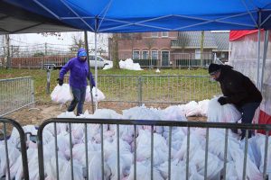 Bibliotheek-14-van-211