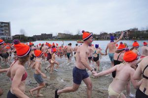 Bibliotheek-15-van-349