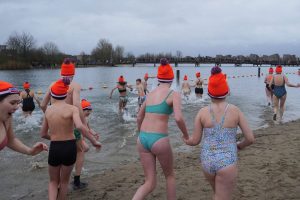 Bibliotheek-17-van-349