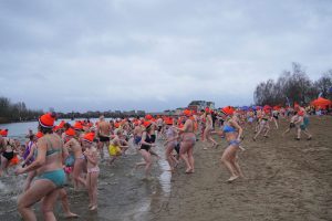 Bibliotheek-19-van-112