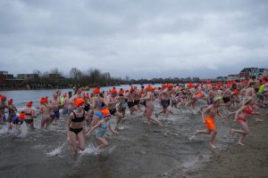 Bibliotheek-24-van-112