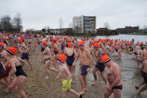 Bibliotheek-31-van-349