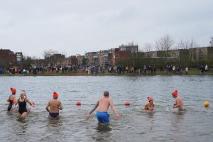 Bibliotheek-34-van-349