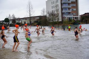 Bibliotheek-37-van-349