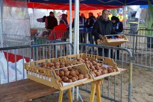 Bibliotheek-42-van-211