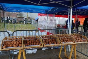 Bibliotheek-44-van-211