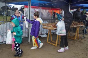 Bibliotheek-59-van-211